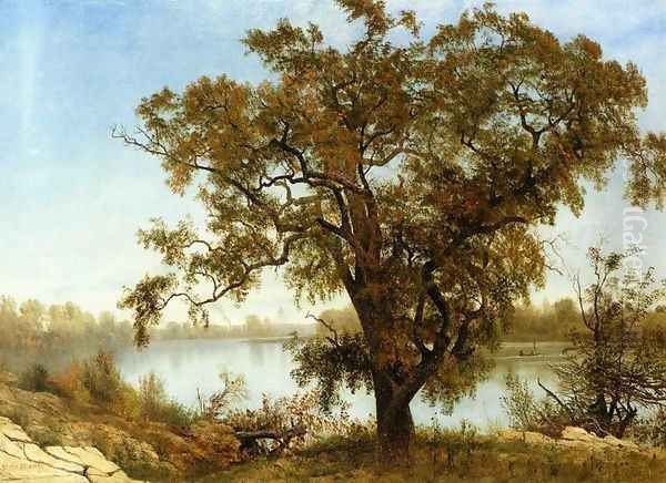 A View from Sacramento Oil Painting by Albert Bierstadt