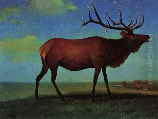 Elk Oil Painting by Albert Bierstadt