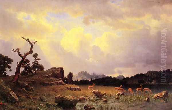 Thunderstorm In The Rocky Mountains Oil Painting by Albert Bierstadt