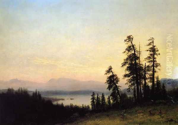 Landscape With Deer Oil Painting by Albert Bierstadt