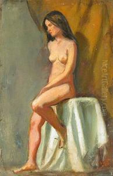 Desnudo Femenino Oil Painting by Miguel Juan Valls-Clusas