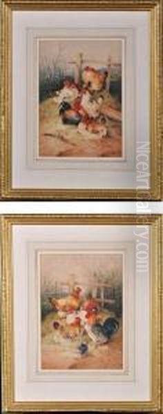 Studies Of Cockerels And Hens Oil Painting by Frederick E. Valter