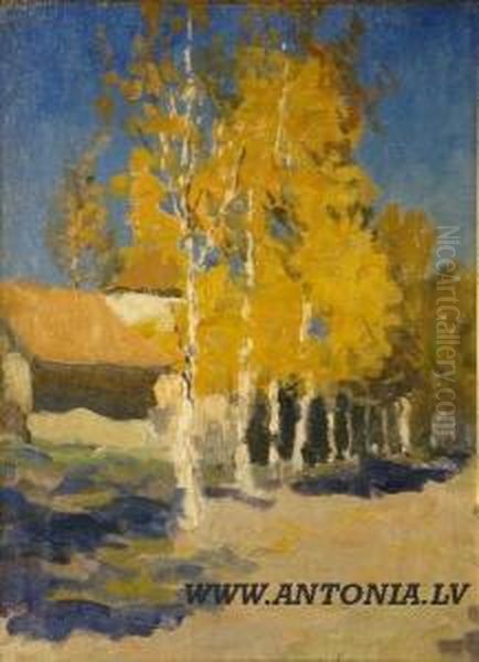 Birches 
In Autumn Oil Painting by Janis Valters