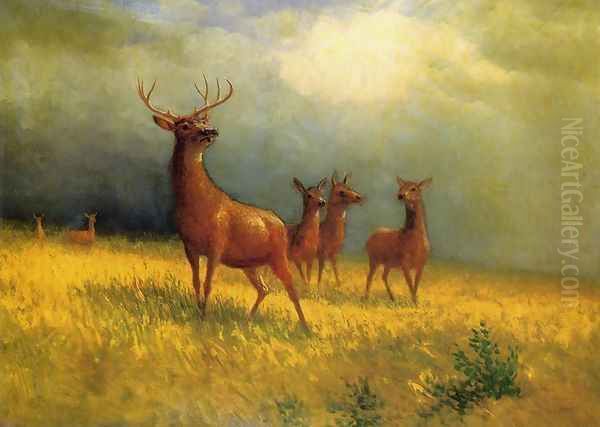 Deer in a Field Oil Painting by Albert Bierstadt