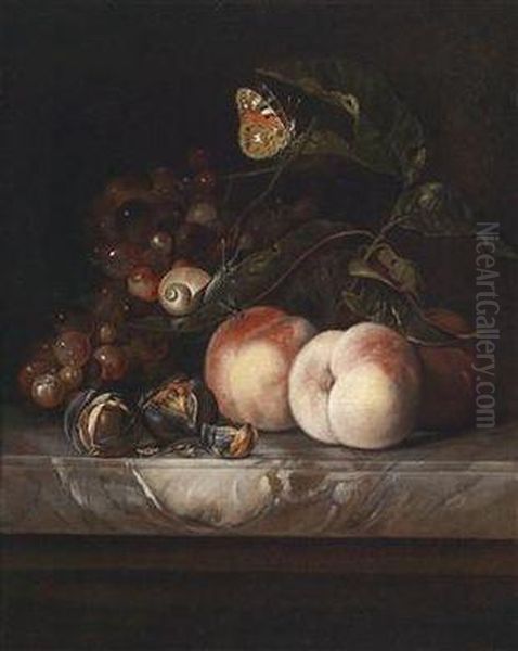 A Still Life With Fruit With A Butterfly And A Snail Oil Painting by Willem Van Aelst