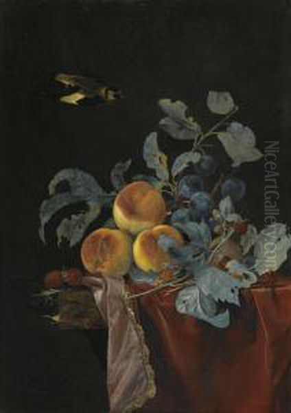 A Still Life With Peaches, Raspberries And Damsons On A Partially Covered Marble Ledge, A Bird Flying Above Oil Painting by Willem Van Aelst