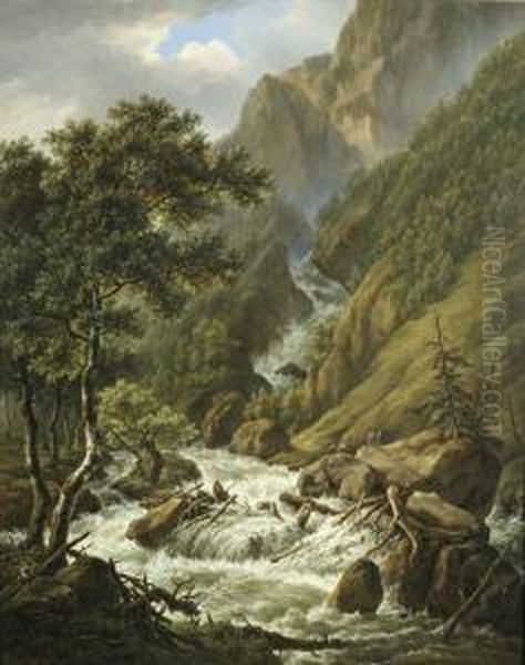 Gebirgslandschaft Mit Wasserfall Oil Painting by Henri Van Assche