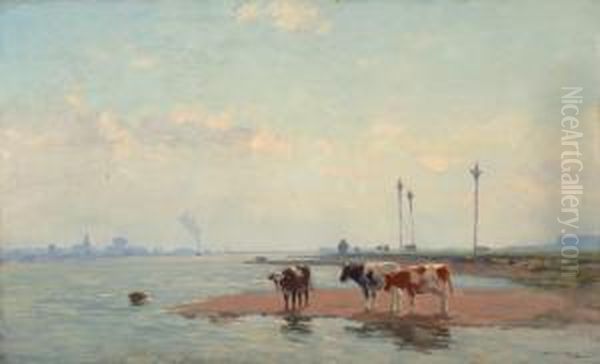 Cows On The Water'sedge Oil Painting by Bernard Antoine Van Beek