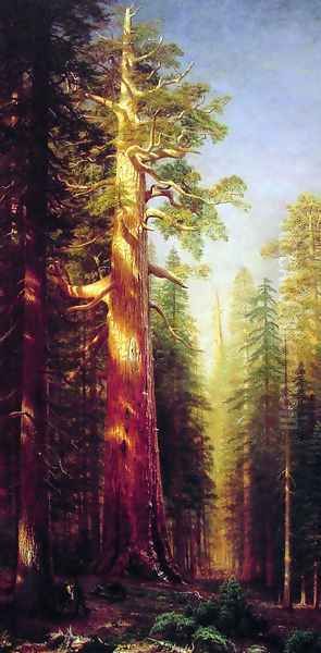 The Great Trees Mariposa Grove California Oil Painting by Albert Bierstadt