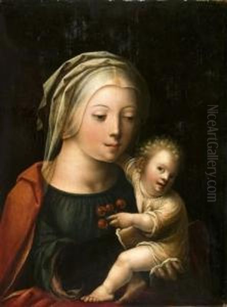 Vierge A L'enfant Aux Cerises Oil Painting by Cornelis Sotte Cleef Van Cleve