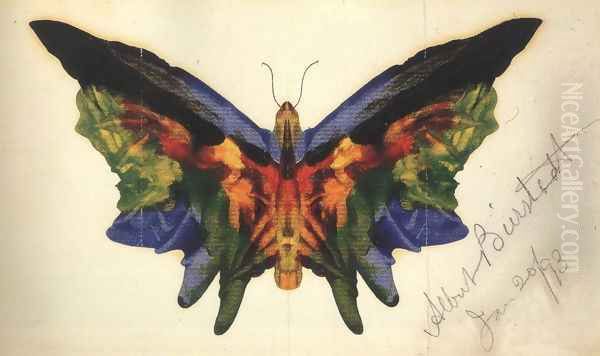 Butterfly 1893 Oil Painting by Albert Bierstadt