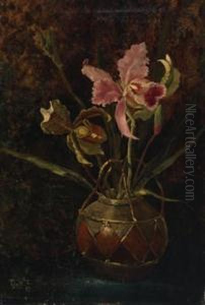 Orchids In A Stone Jar Oil Painting by Cornelis Wiekev. Van Crommelin