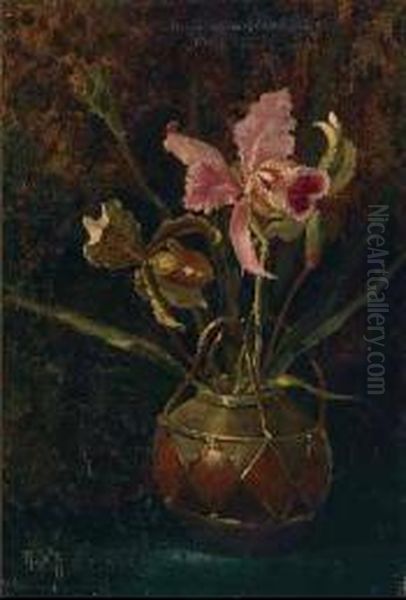 Orchids In A Stone Jar Oil Painting by Cornelis Wiekev. Van Crommelin