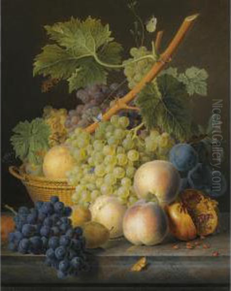 A Still Life With Grapes And Peaches In A Basket, An Open Pomegranate, Plums, Black Grapes And More Peaches, All On A Marble Ledge Oil Painting by Jan Frans Van Dael