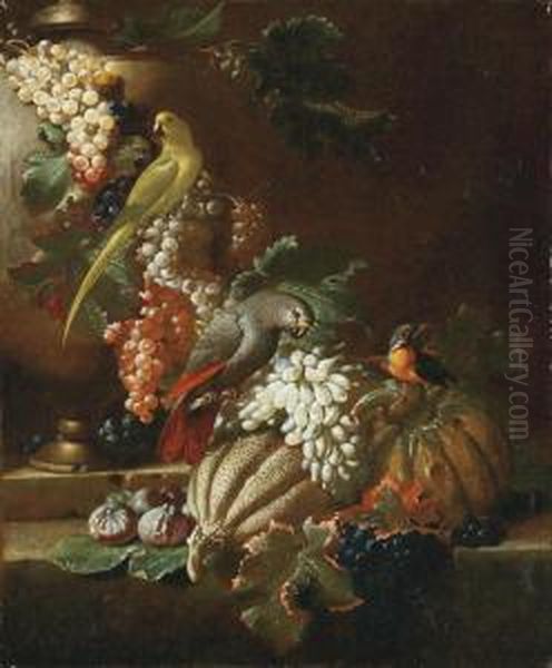 Tralci Di Vite Con Frutta E Pappagalli Oil Painting by Jacob van der (Giacomo da Castello) Kerckhoven