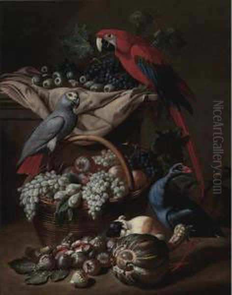 Still Life With Two Parrots, A Guinea Pig, A Basket Of Fruit Andfowl Oil Painting by Jacob van der (Giacomo da Castello) Kerckhoven