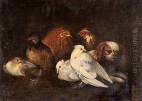 Pigeons, Coq Et Poules Veilles Par Un Chien Oil Painting by Jacob van der (Giacomo da Castello) Kerckhoven