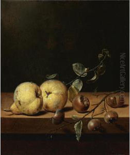 Quinces And Medlars On A Table Ledge Oil Painting by Jan III van de Velde