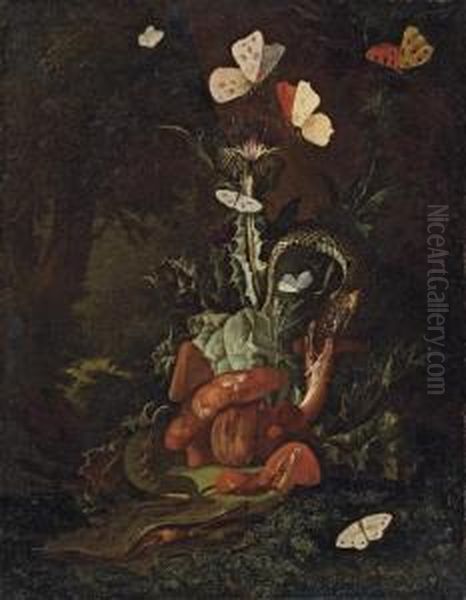 A Forest Floor Landscape With A Thistle, Funghi, Moths, A Lizard And Snakes Oil Painting by Carl Wilhelm de Hamilton