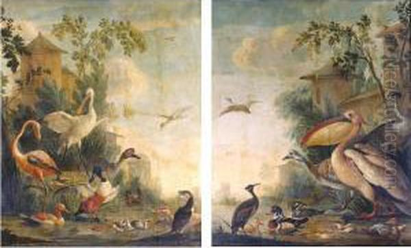 A Flamingo, A Spoonbill, A Shoveler, A Cormorant And Other Birds By A Lake; A Pelican, Wood Ducks And Other Birds By A Lake Oil Painting by Gerrit van den Heuvel