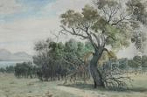 From The Werribee With The You Yangs In Background Oil Painting by Henricus Leonardus Van Den Houten