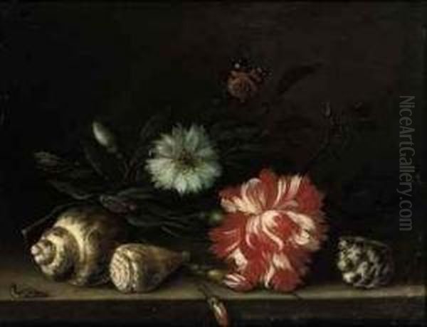 Carnations, Various Other Flowers And A Shell With A Caterpillar Ona Stone Ledge, A Butterfly, Dragonflies And A Ladybird Nearby Oil Painting by Balthasar Van Der Ast