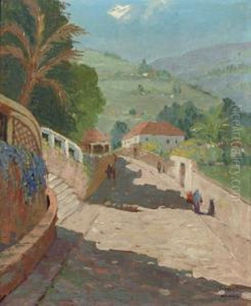 Route De St. Crux, Madeira Oil Painting by Johannes Van Der Bilt