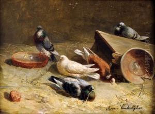 [les Pigeons] Oil Painting by Alphonse Van Der Eycken