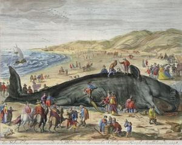 Gestrandeter Walfisch Zwischen Scheveningen Und Katwijk Oil Painting by Willem Gillem Van Der Gouwen /