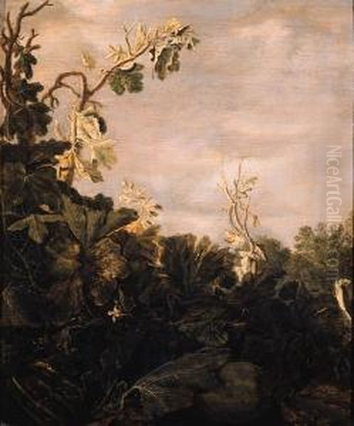 A Pumpkin, A Fig-tree And Other Plants - A Fragment Oil Painting by Reynier Van Der Laeck