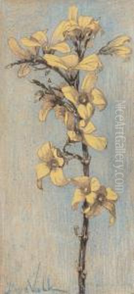 A Forsythia Branch Oil Painting by Maurits Van Der Valk