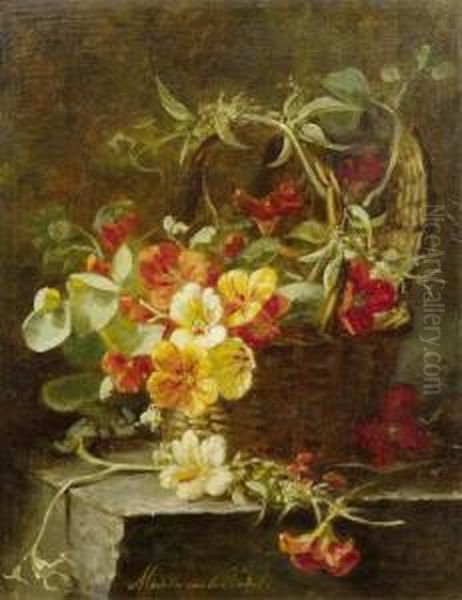 Dittander In Basket Oil Painting by Maria Van Der Voort