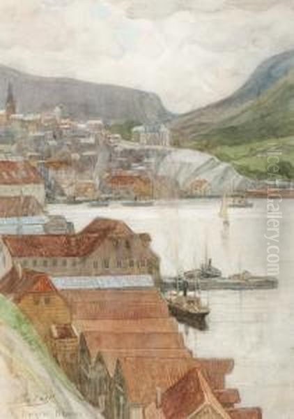 Bergen Noorw Oil Painting by Nicolaas Van Der Waay