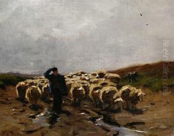 Shepherd And Flock Oil Painting by Hermann Johannes Van Der Weele