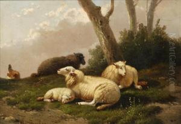 Sheep Resting Oil Painting by Joseph Van Dieghem