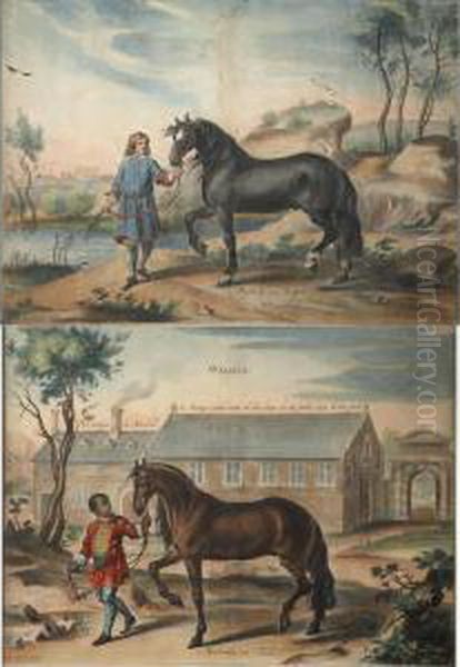 Horse Studies Oil Painting by Abraham Jansz. van Diepenbeeck