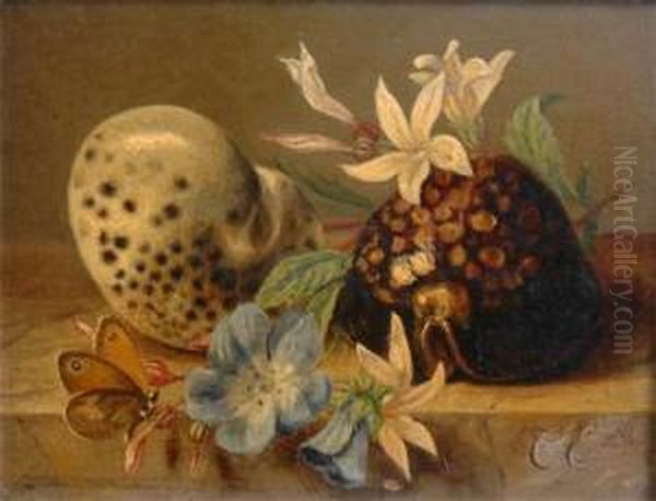 Still Life Fruit Flowers, Butterfly On A Ledge Oil Painting by Caroline Johanna Van Eeden