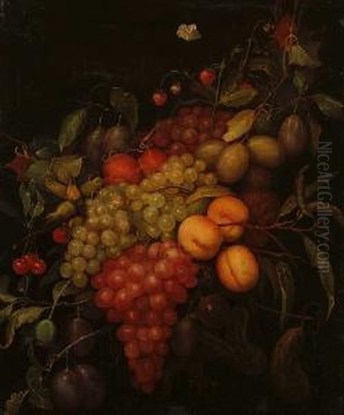 A Swag Of Grapes, Plums, Peaches With Cherries, Strawberries And Cobb Nuts Oil Painting by Frans Van Everbroeck