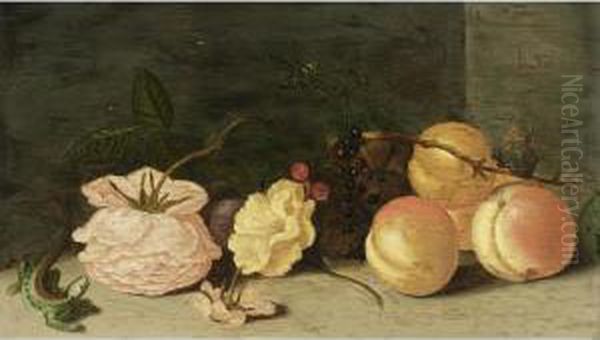 A Still Life With Peaches, Roses, Red And Black Berries, A Butterfly, A Dragonfly And A Green Lizard Oil Painting by Jan Baptist van Fornenburgh