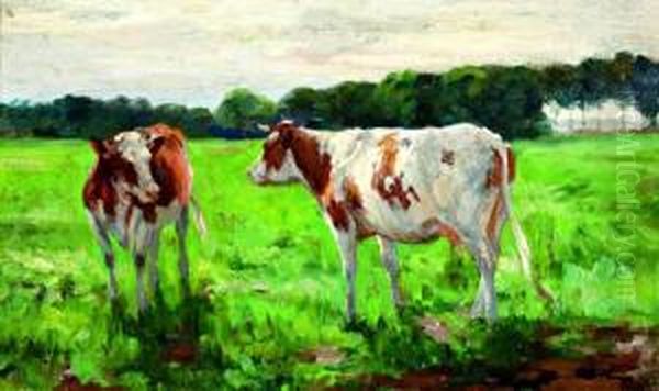 Jonge Koeien In De Wei Oil Painting by Dirk Johannes Van Haaren