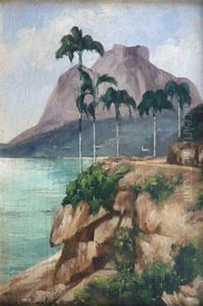 Les Environs De Rio Oil Painting by Henri Van Haelen