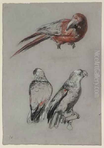 Three Parrots Oil Painting by Richard Parkes Bonington