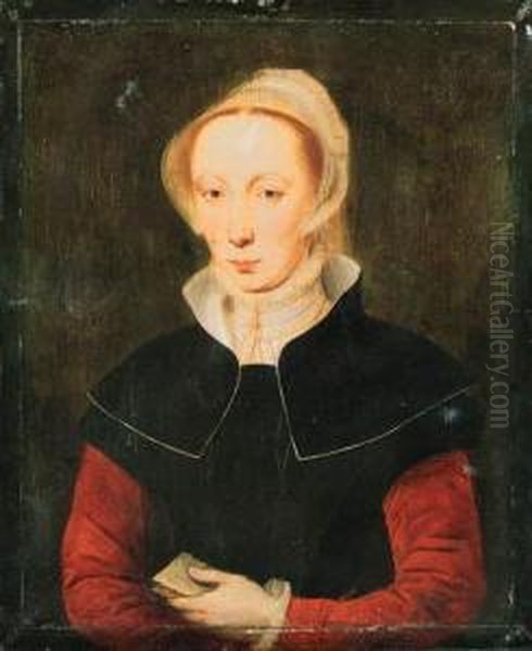 Portrait Of A Lady, Half-length, In A Black Dress With Red Sleeves,a Book In Her Left Hand Oil Painting by Katherine Van Hemessen