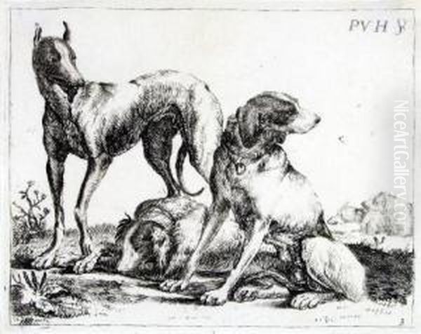 Drei Hunde Oil Painting by Paulus Van Hillegaert