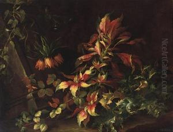 A Forest Floor With Flowers And Distels Oil Painting by Niccolino Van Houbraken