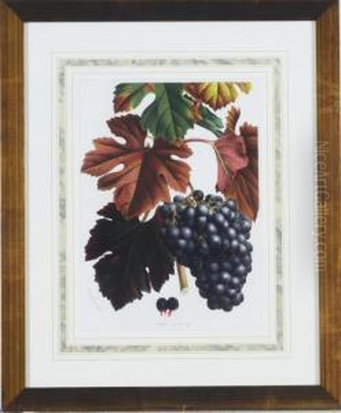 [grapes]: Five Plates Oil Painting by Horto Van Houtteano