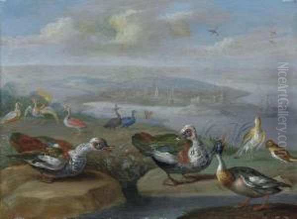 Two Egyptian Geese Oil Painting by Jan van Kessel