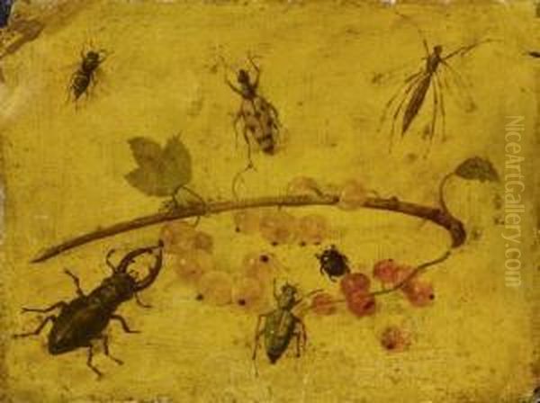 Study Of A Stag Beetle And Other Small Insects Around Red And White Berries Oil Painting by Jan van Kessel