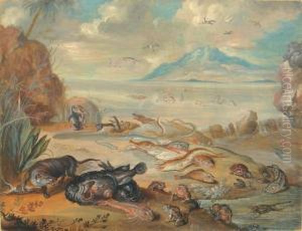 Pingouins Et Poissons Sur La Plage Oil Painting by Jan van Kessel