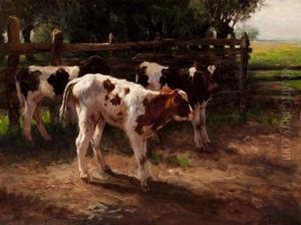 Calves By A Fence Oil Painting by Fedor Van Kregten